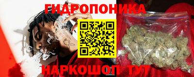 крисы Краснодар