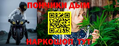 стафф Краснознаменск