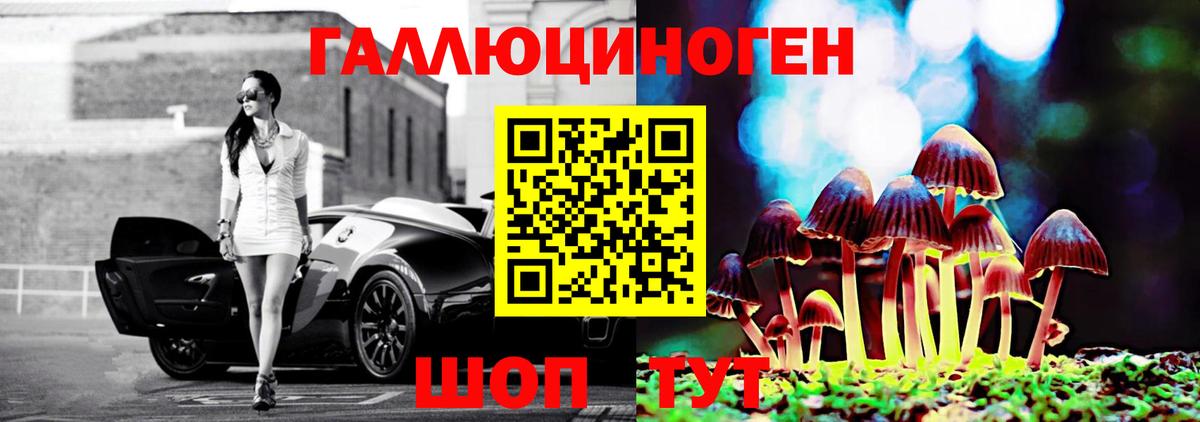 Заводоуковск  Псилоцибиновые грибы Psilocybine cubensis  Вход с VPN  Псилоцибиновые грибы мицелий 